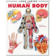 Look Inside the Human Body
