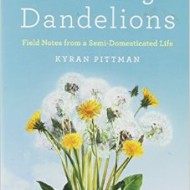 Planting Dandelions