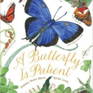 A Butterfly is Patient