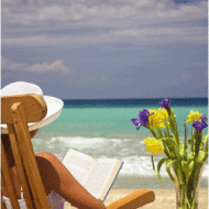 On Reading: The PERFECT Summer Read