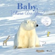 Baby, Where Are You, a Lift the Flap book
