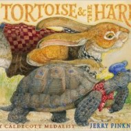 The Tortoise & the Hare