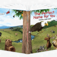 The Perfect Name For You, with giveaway
