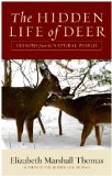 The Hidden Life of Deer