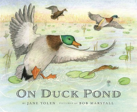 A beautiful new picture book from Jane Yolen and the Cornell Lab Publishing Group for bird lovers!